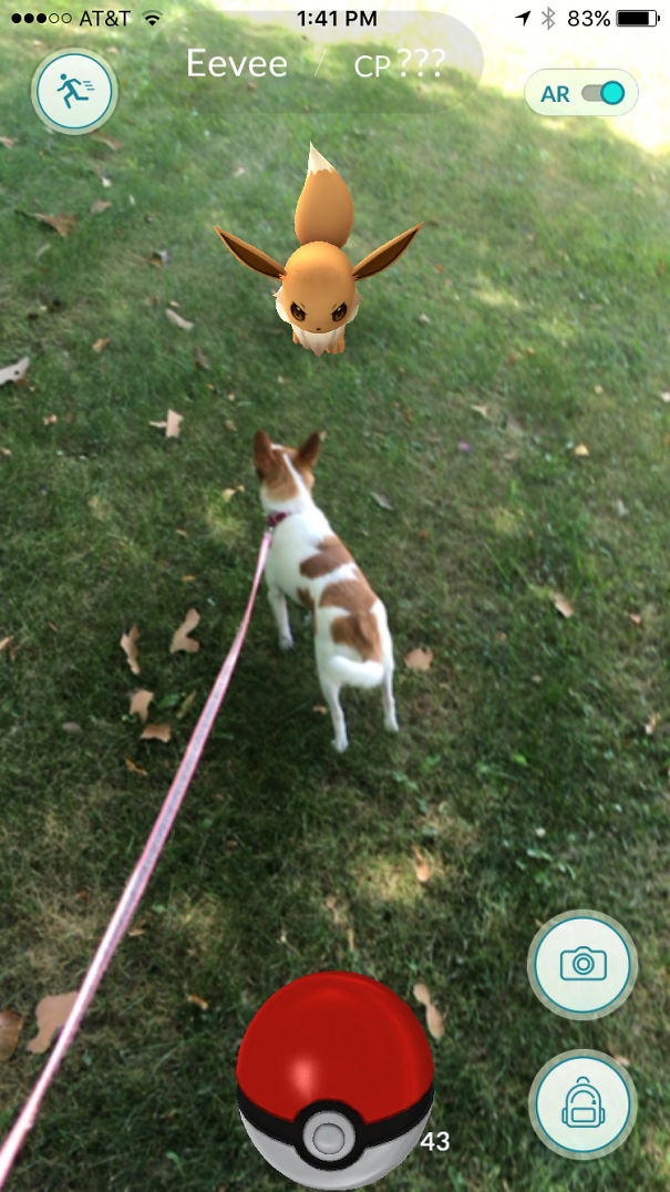 I Think Eevee Wanted To Battle My Pup!