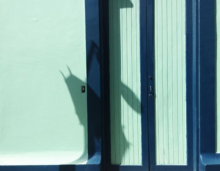 Color