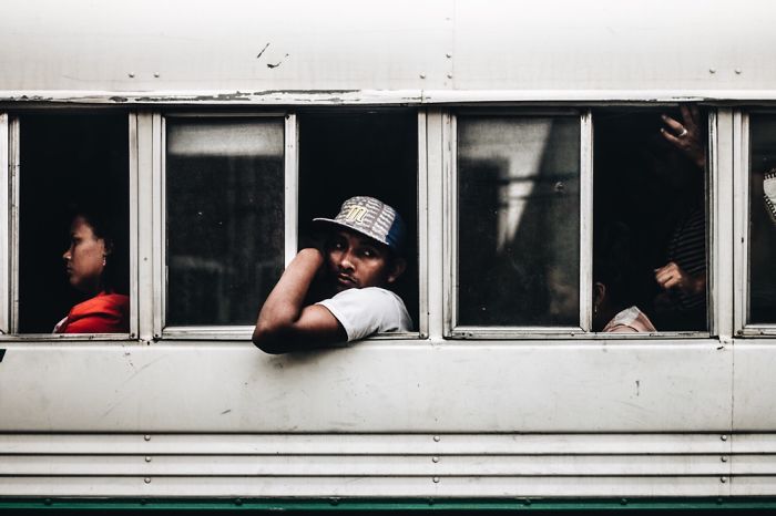 Bus