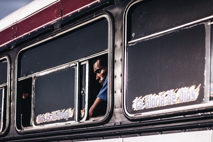 Bus