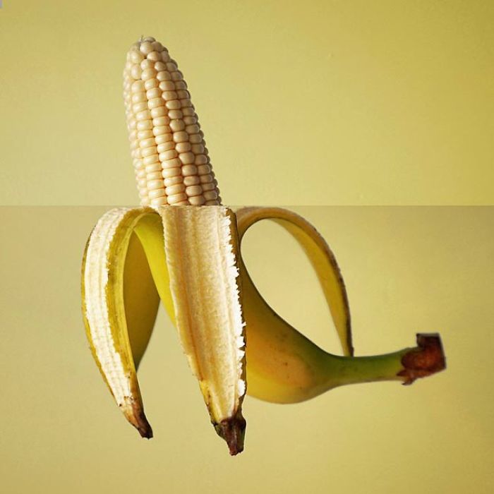 Sweet Art