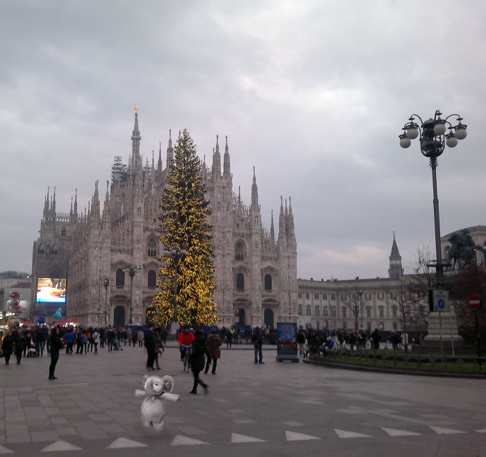 New Year Celebrating From Milan