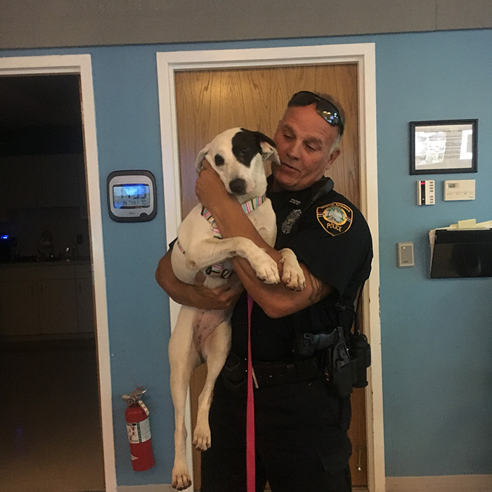Police Sees A Suspicious Dog, Arrest Her For Being Dangerously Cute