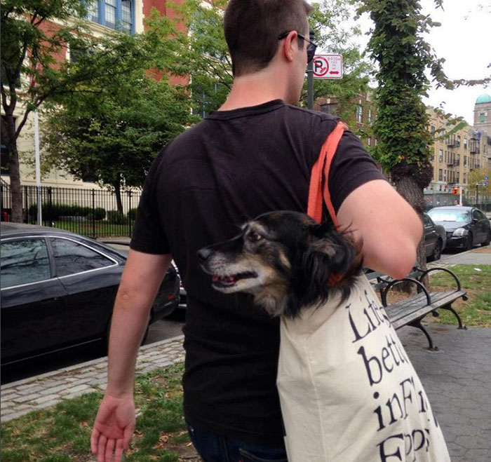 man-with-giant-dog-tote-bag-new-york-subway-2a