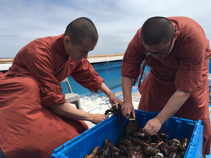 monks-release-600-lobsters-ocean-5