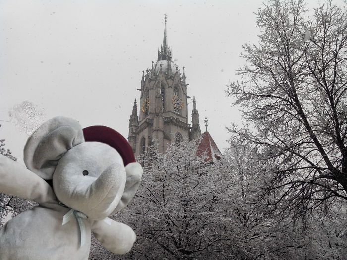 Selfie In Munich (winter)
