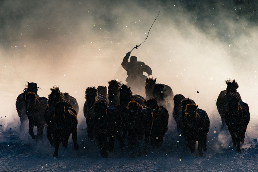 Grand Prize Winner: Winter Horseman, Inner Mongolia