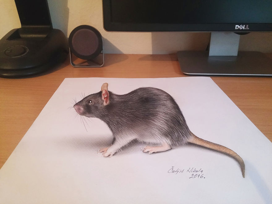 3D Drawings That I Create To Confuse People