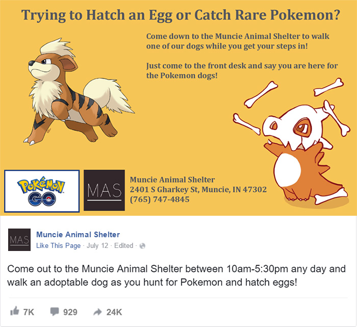 When This Animal Shelter Asked Pokémon Go Players To Walk Their Dogs, They Didn't Expect This