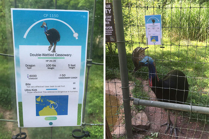 Zookeeper Can’t Take It Anymore, Decides To Add Pokemon Go Signs Next To Animals