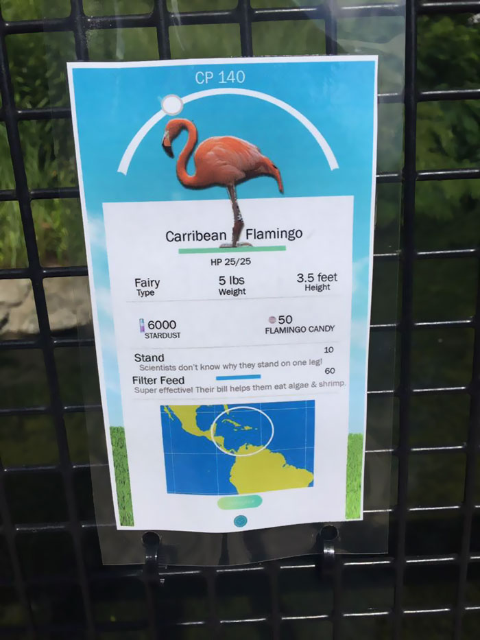 pokemon-go-zoo-signs-zookeeper-problems-4