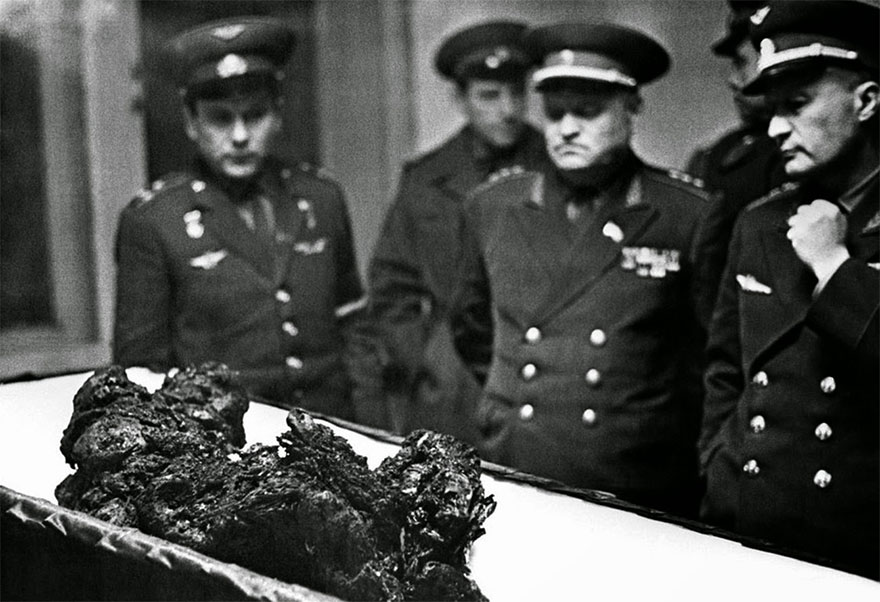 The Remains Of The Astronaut Vladimir Komarov, A Man Who Fell From Space, 1967