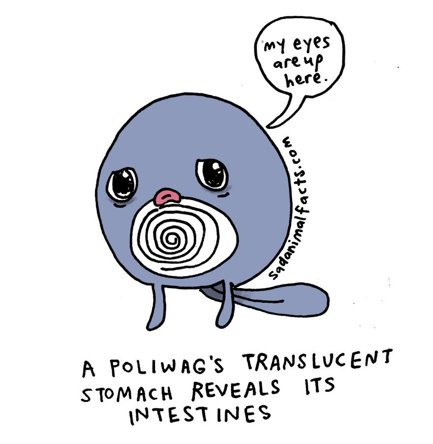 Everyone Knows What A Poliwag Just Ate