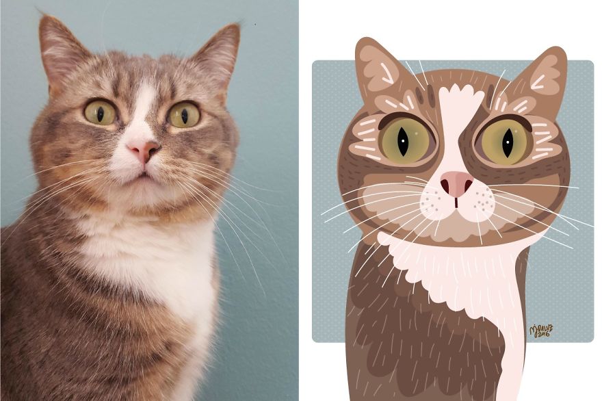 I Draw Cats And Dogs From Photos
