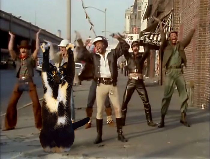 Village People (and Cat)