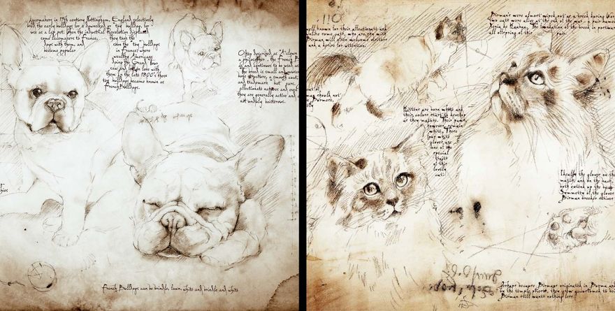 Drawings Of Cats And Dogs Replicating Leonardo Da Vinci's Style Drawings Of Cats And Dogs Replicating Leonardo Da Vinci's Style