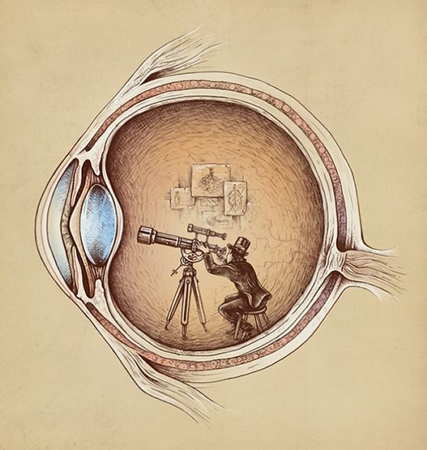Perfect Marriage Between Anatomical And Surreal Worlds