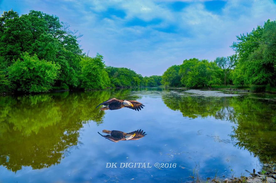 Dk Digital Photography