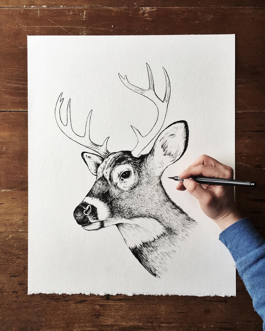 Diverse Drawings Styles By An Artist With A Fertile Imagination Diverse Drawings Styles By An Artist With A Fertile Imagination