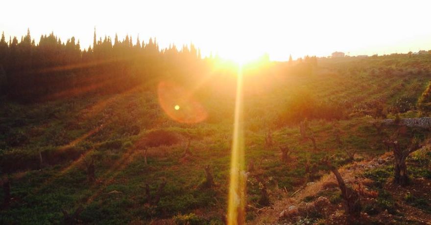 I Take Photos Of My Beautiful Lebanon For The World To See I Take Photos Of My Beautiful Lebanon For The World To See