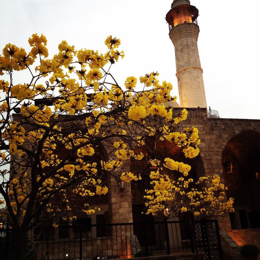 I Take Photos Of My Beautiful Lebanon For The World To See I Take Photos Of My Beautiful Lebanon For The World To See