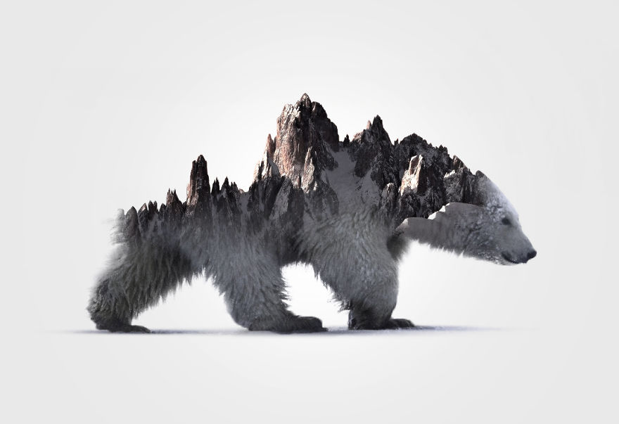I Merged Animals With Their Own Environments Into One Crazy Simple Picture
