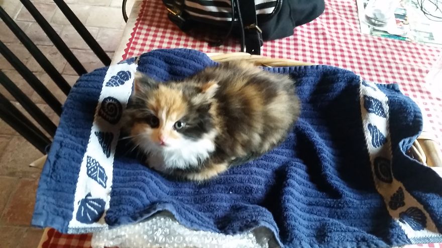 Meet Gudzu On Her First Day At School Meet Gudzu On Her First Day At School