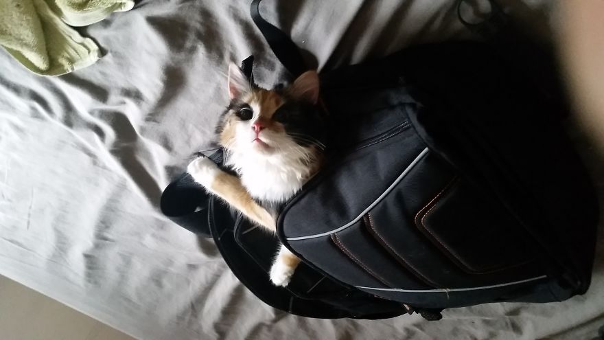 Meet Gudzu On Her First Day At School Meet Gudzu On Her First Day At School