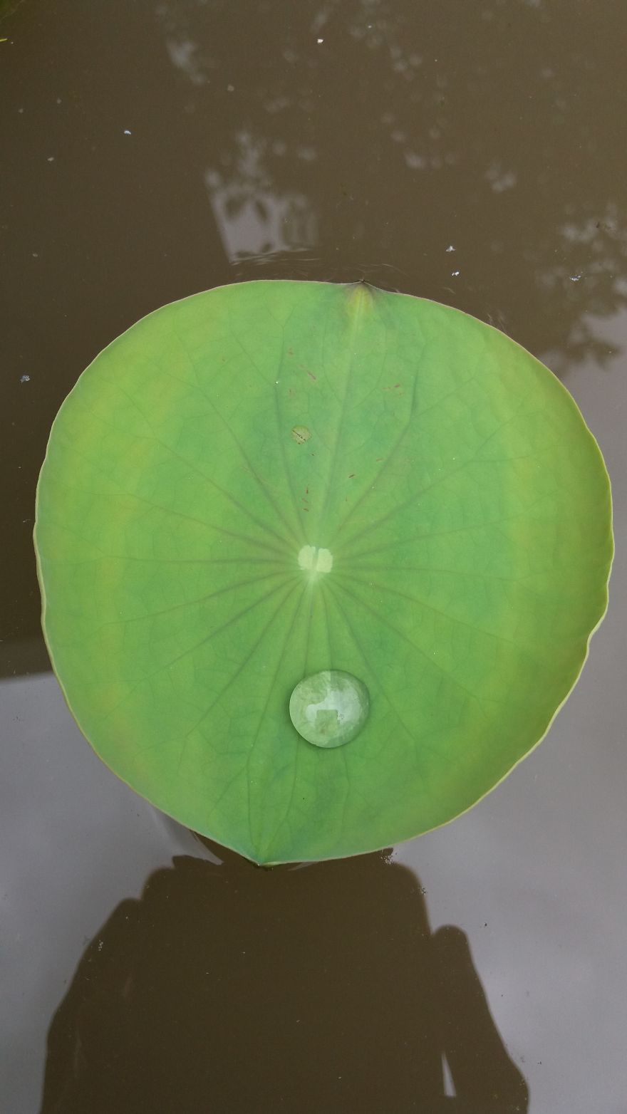 To Take The Mind Off...