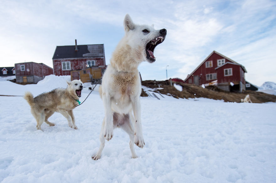 I Captured The Change Of A Culture In Greenland I Captured The Change Of A Culture In Greenland