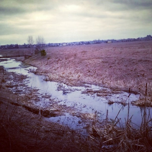 I Capture The Beauty Of Rural Lithuania (And Sometimes My Cat) With A Crappy Camera