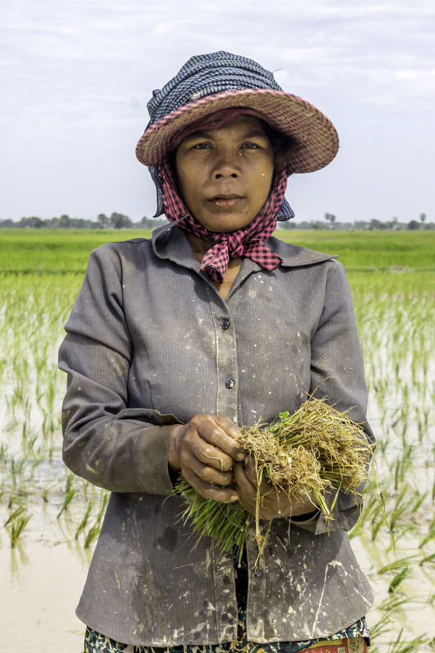 Agriculture Is The Ancient Culture Of Cambodia