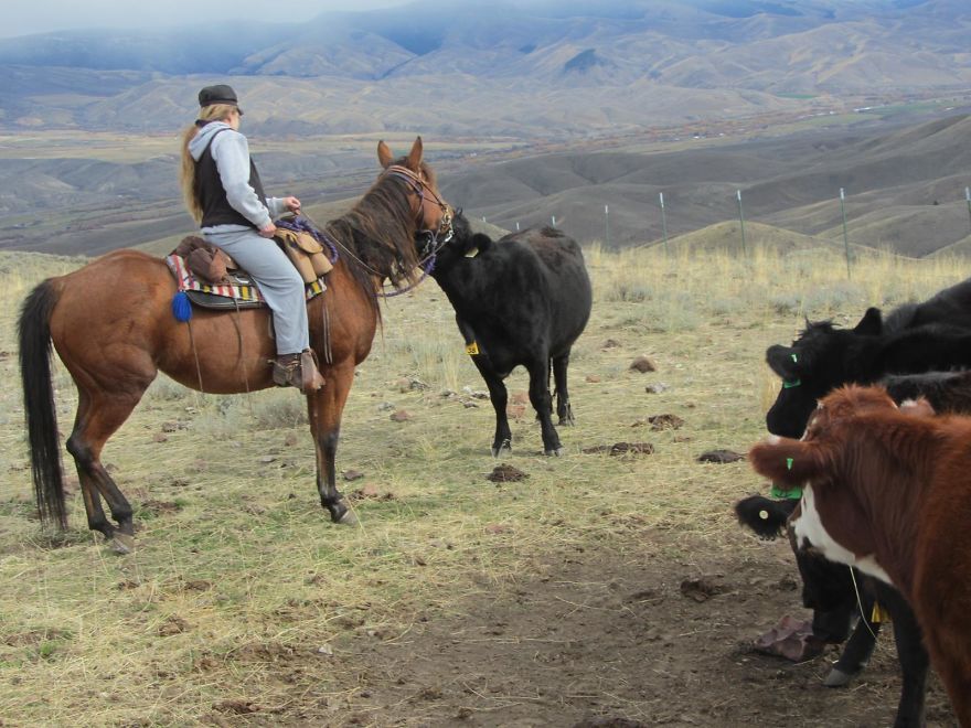 5 Films That Inspire You To Go Travelling 5 Films That Inspire You To Go Travelling