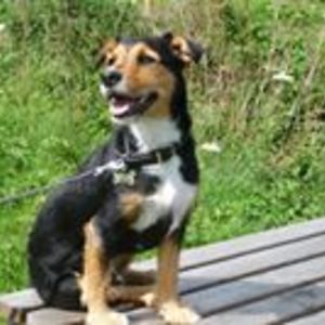 phillip_ashby avatar