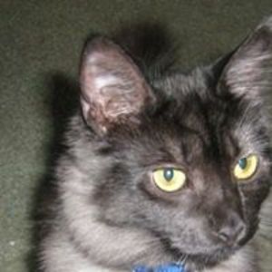 justina_marie20 avatar