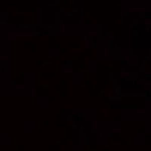 vybzconnection avatar