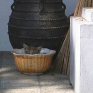 andrew_corless avatar