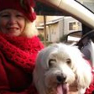 brendaschulteis avatar