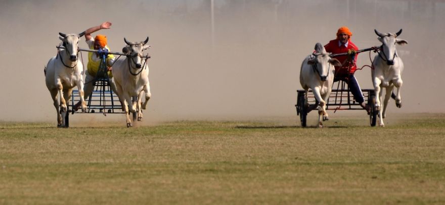 6 Unheard Scenic Places In India For The Real Travelers 6 Unheard Scenic Places In India For The Real Travelers