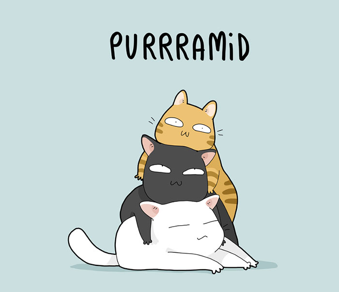 8 Cat Puns That Will Make Your Day