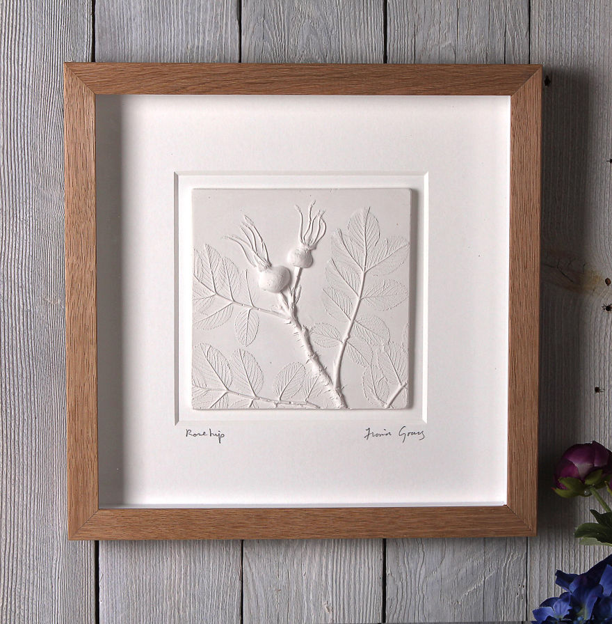 I Cast Plants, Flowers & Objects In Plaster To Create Sculptural 3d Images