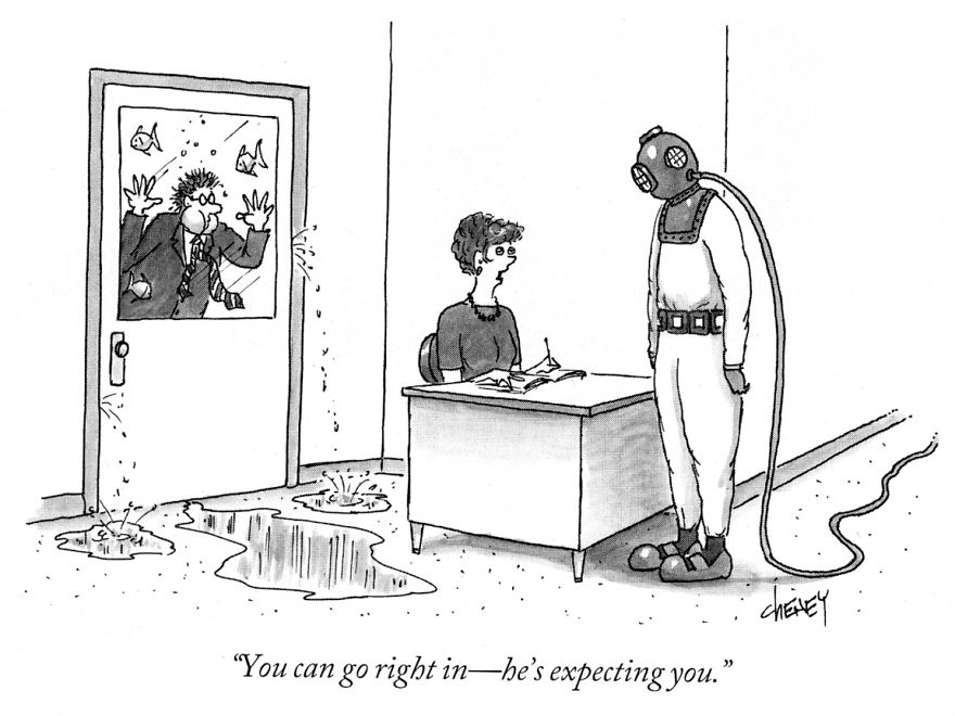 Classics From The New Yorker