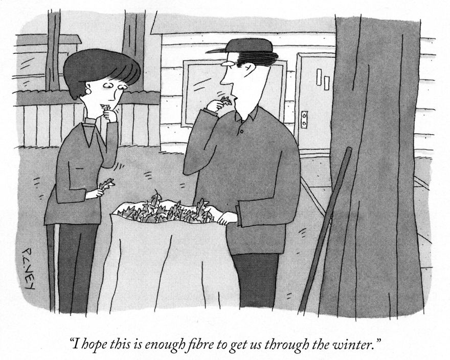 Classics From The New Yorker