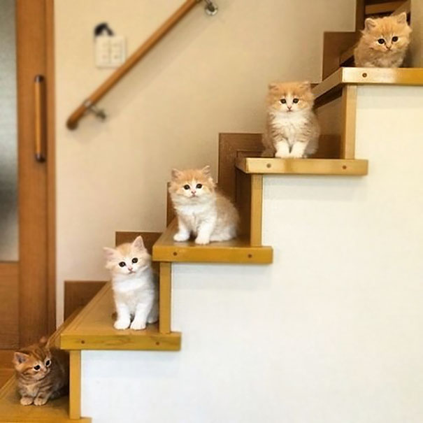 Staircase To Heaven
