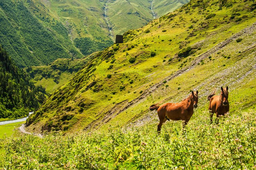 We Went To Tusheti, Georgia And Found Untouched Nature And Stunning Beauty