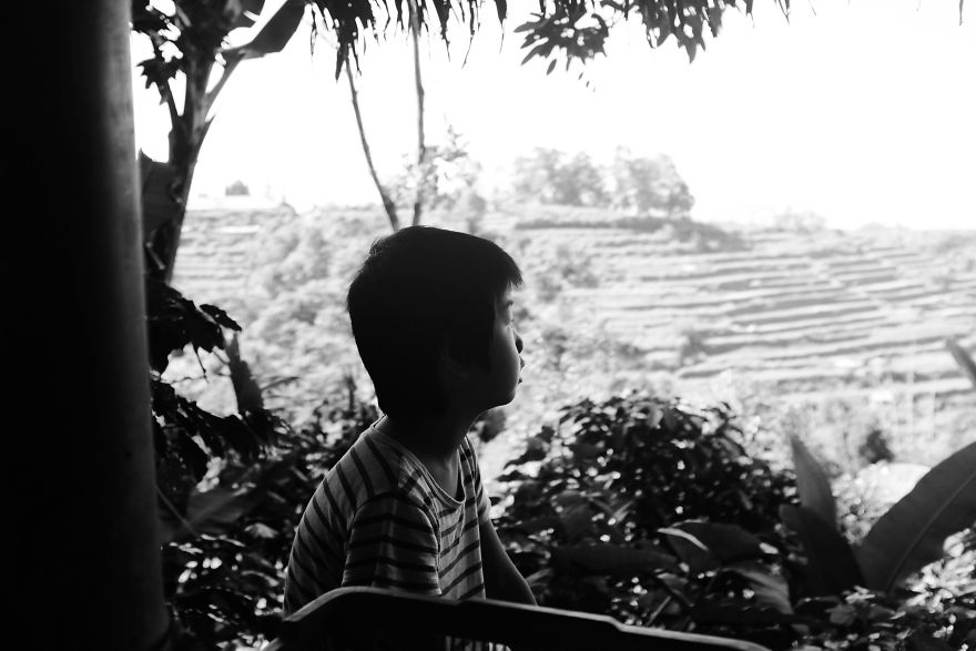The Bali I See