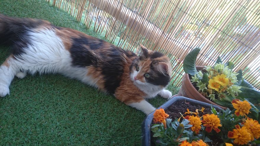 Meet Gudzu On Her First Day At School Meet Gudzu On Her First Day At School