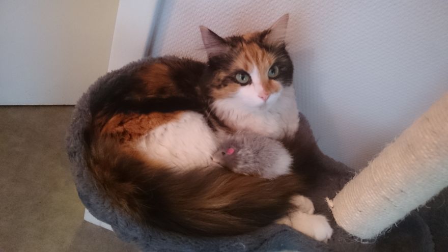 Meet Gudzu On Her First Day At School Meet Gudzu On Her First Day At School