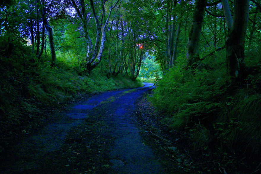 Road To Pendle Hill