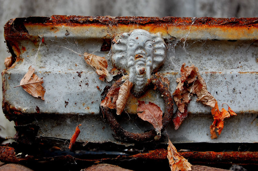 Shades Of Rust